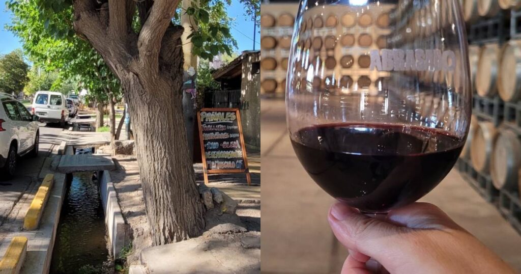 wine and canals - the two features of Mendoza