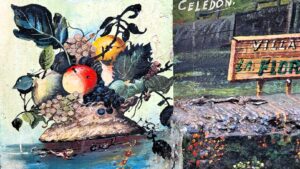 Still life with apple and grapes on a street wall