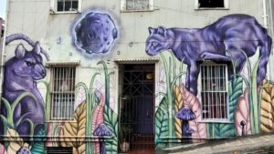 Purple cat and rat with meteorite