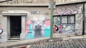 Ostridge head painted on a grey concrete wall