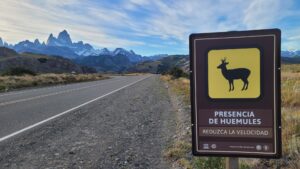 Road animal crossing warning with the cerro Fitz Roy in the background