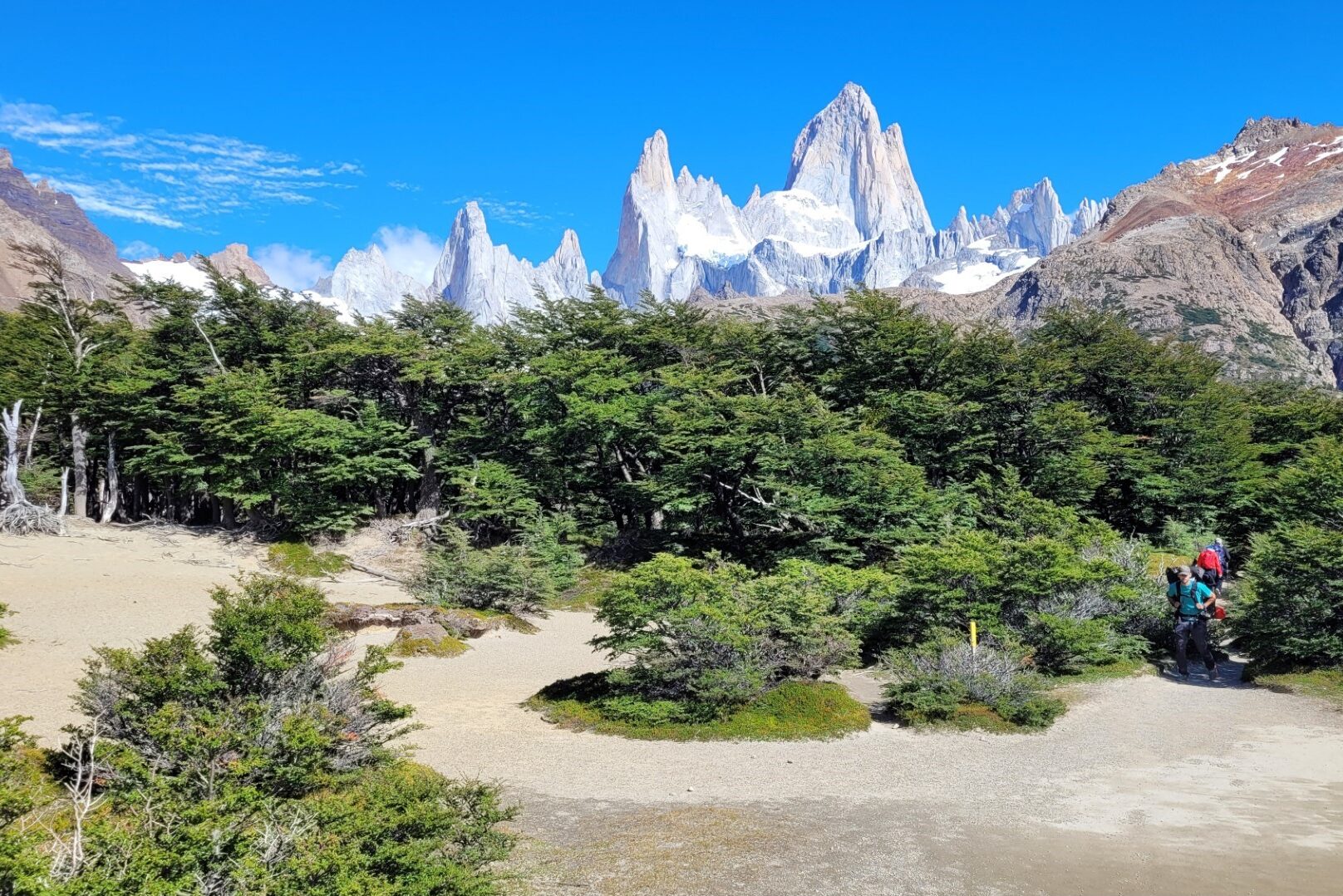 Monte Fitz Roy, El Chaltén: The Only Trek You Need to Do