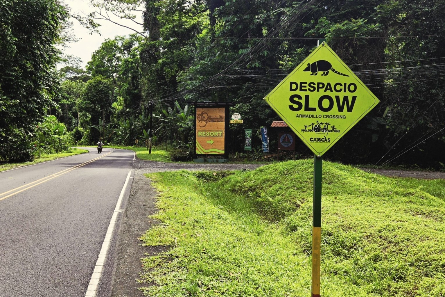 Two Reasons  To Visit Costa Rica: The Caribbean Coast and the Cloud Forest