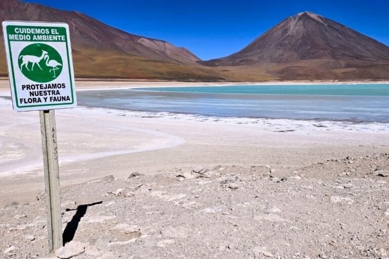 sign post with animal in from of a frozen lake